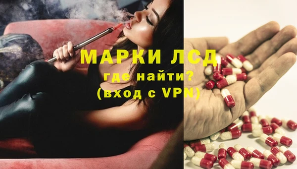 ГАЛЛЮЦИНОГЕННЫЕ ГРИБЫ Алзамай