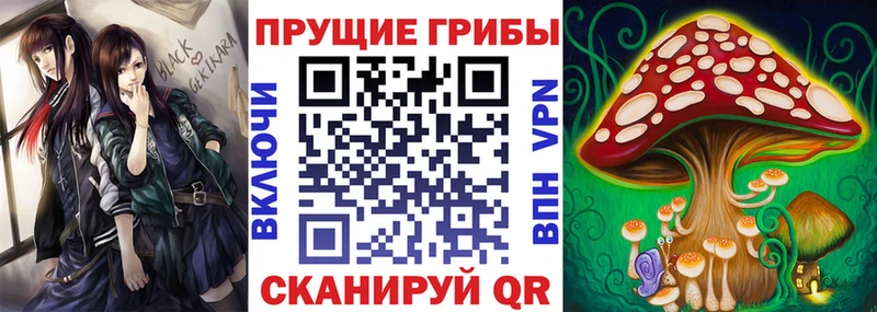 продажа наркотиков  площадка клад  Галлюциногенные грибы GOLDEN TEACHER  Арзамас 