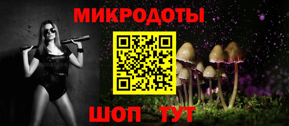 Галлюциногенные грибы мухоморы  Вход с VPN  как найти   Арзамас 