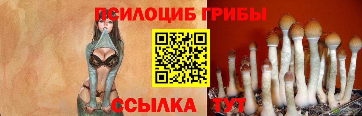 Галлюциногенные грибы ЛСД Арзамас